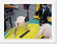 carnaval_2007_39 * 840 x 640 * (79KB)