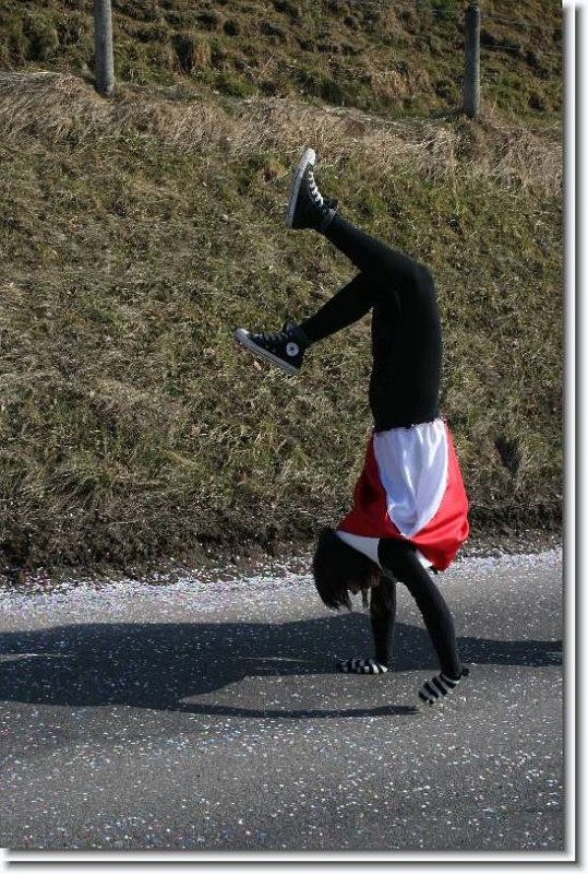 carnaval_2011_80
