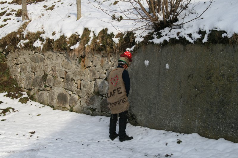 carnaval_2013_84