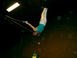 David
