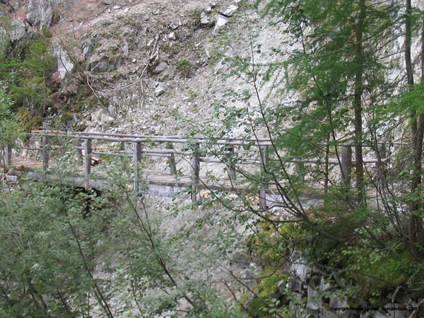 course_hommes_2005_053