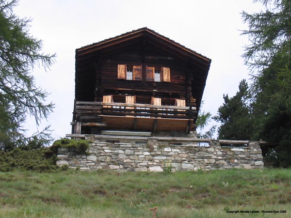 course_hommes_2005_066