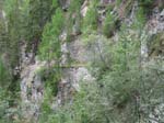 course_hommes_2005_052