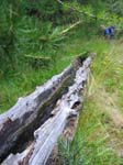 course_hommes_2005_094