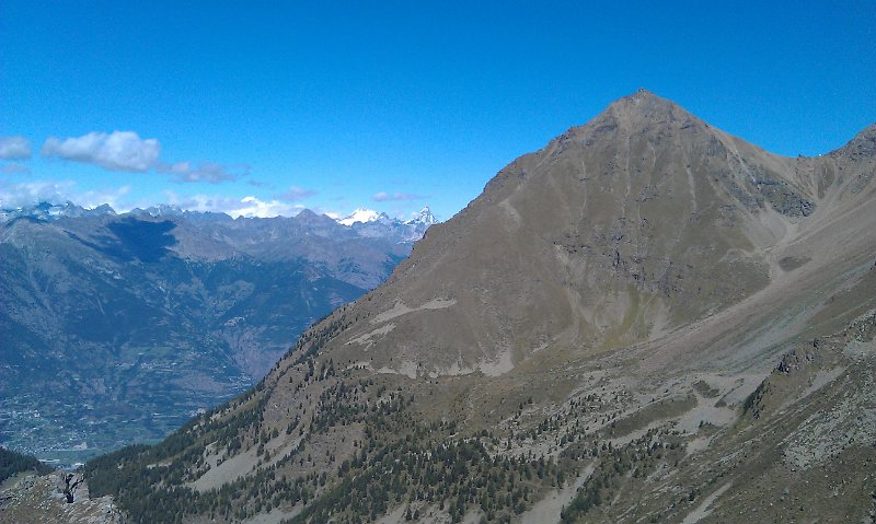 course_obli_2011_15