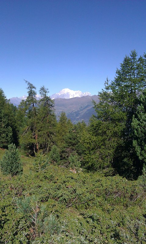 course_obli_2011_27
