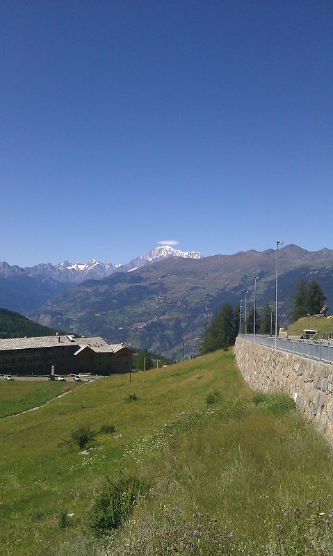 course_obli_2011_29
