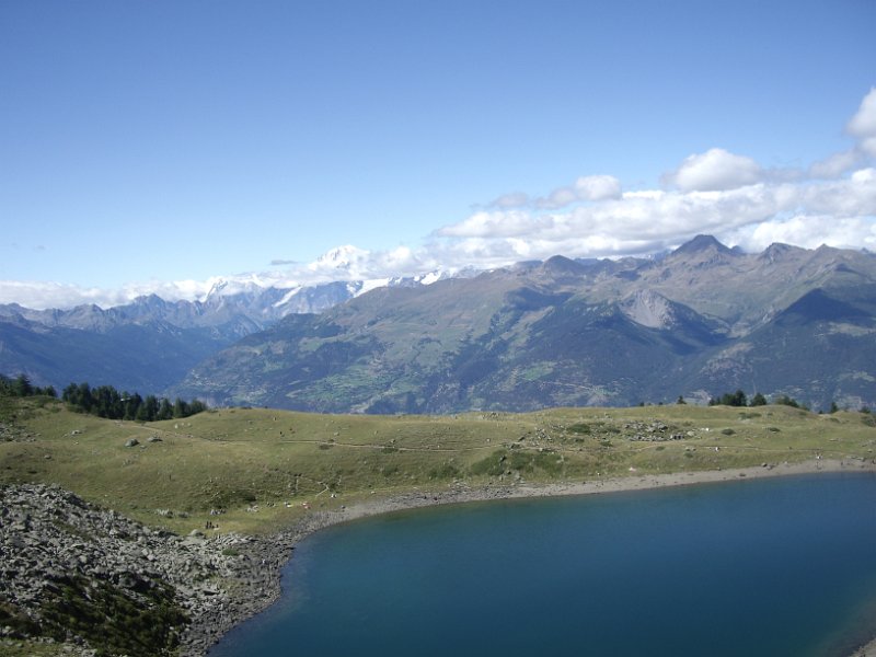 course_obli_2011_59
