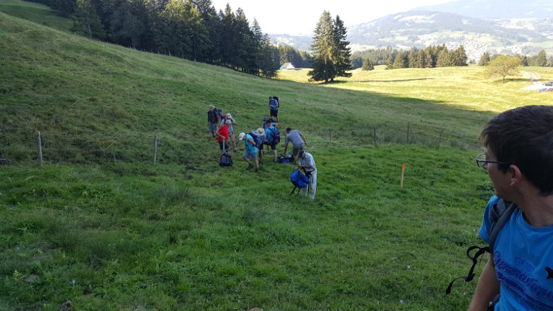 course_obligatoire_2015_15