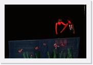 15_poly3_07 * 4132 x 2750 * (6.53MB)