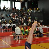 team-cup_c1c4_2012_01